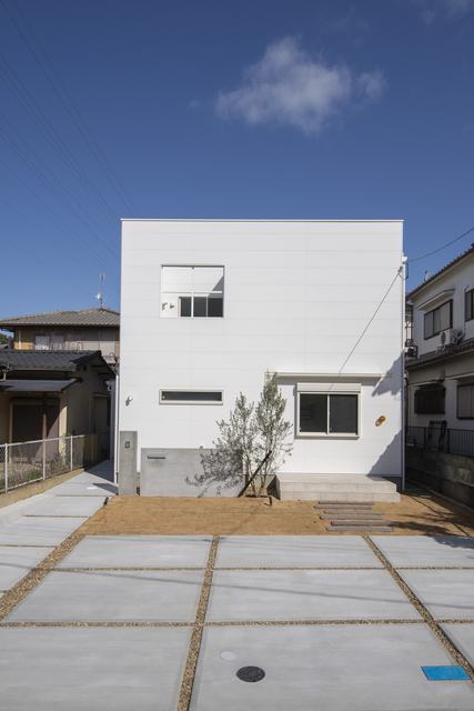 施工実例 白い壁とオリーブ一本の、静かな外観